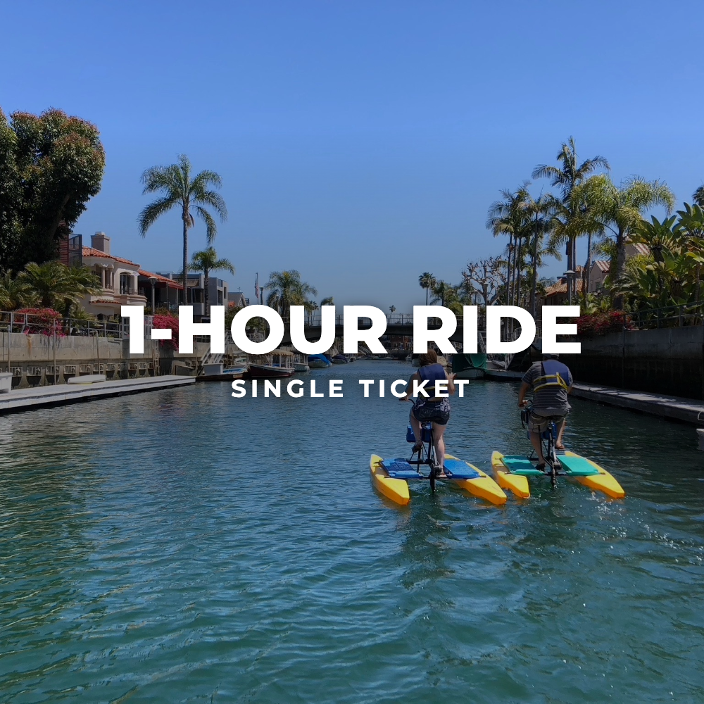 1-Hour Ride Ticket (paper ticket, mailed to you)